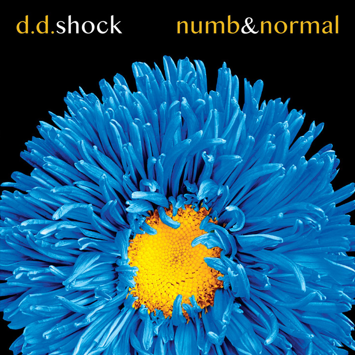 ddshock numb&normal art